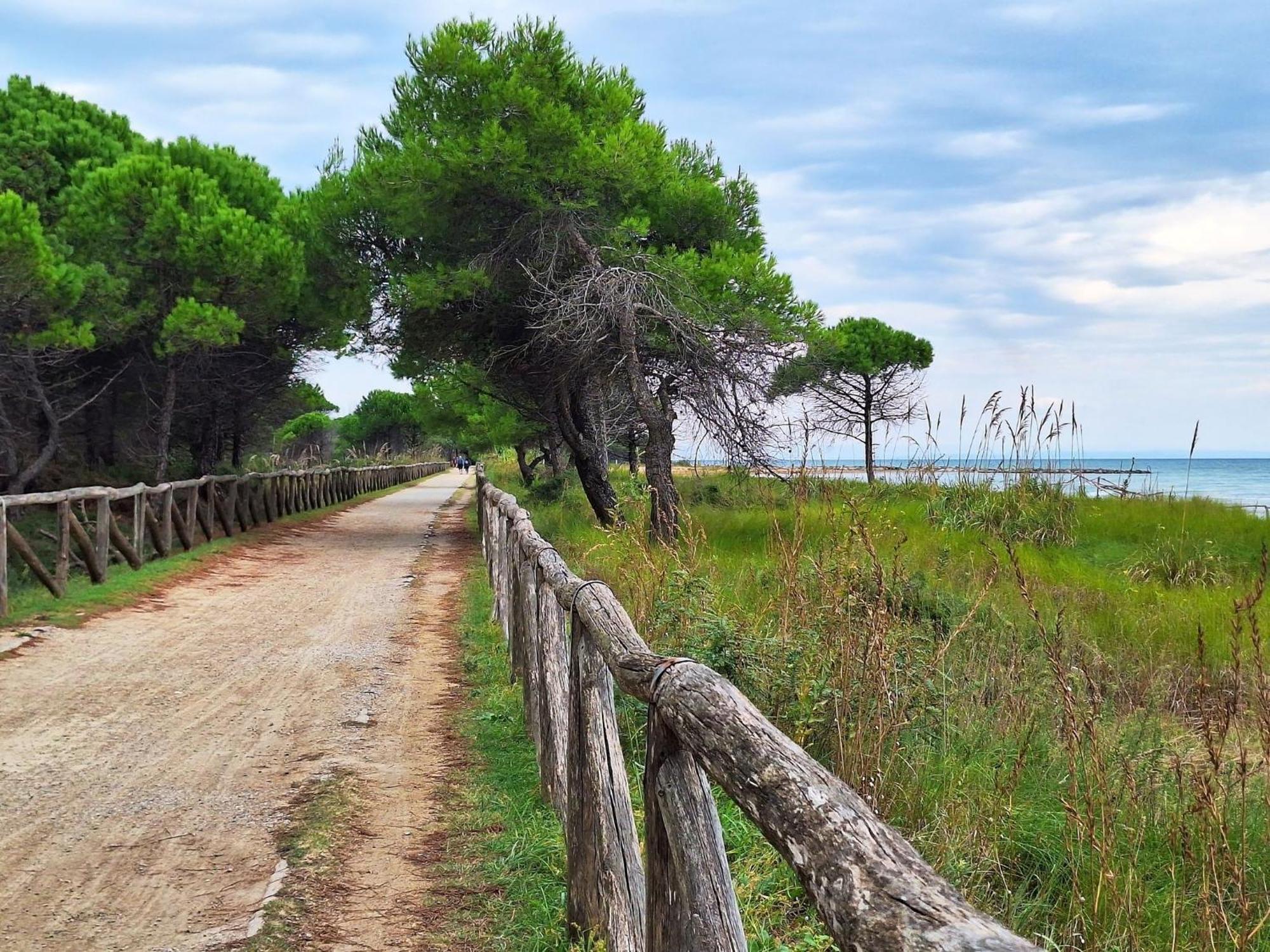 Comfy Flat With Terrace Next To The Beach-beahost Bibione